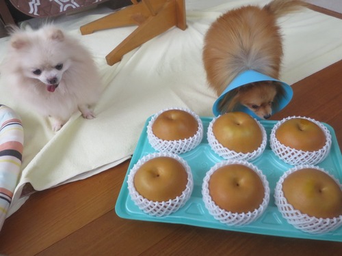 2020(R2)-10-5 ���åײȤ������ (2)