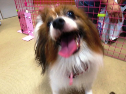 2014(H26)-7-19 ���Τ�Ʋ� (4)