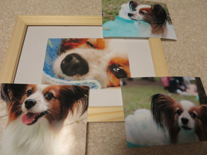 2017(H29)-7-15 Τ�Ʋ�ˤ�