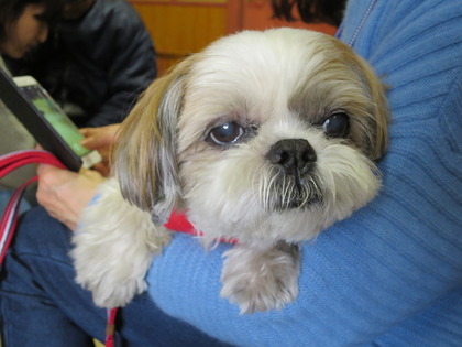 2018(H30)-1-20 第36会巣鴨里親会 (1)