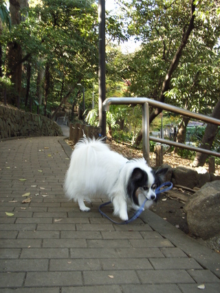 �꡼�ɤ�������