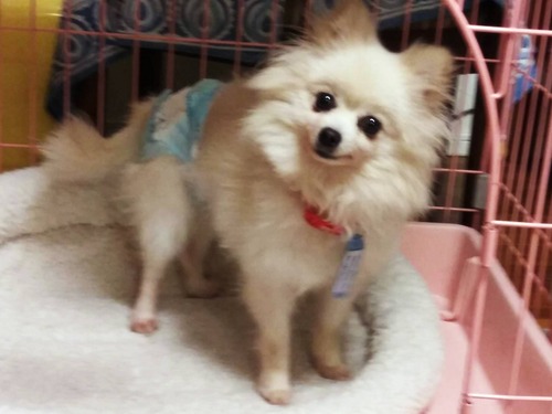 �������� 2019(R1)-12-2 (1)