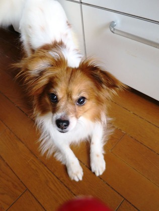 2018(H30)-6-26  (10)