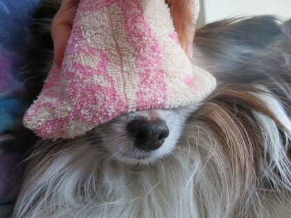 2019(R1)-7-7 ²¹Ç®ÎÅË¡