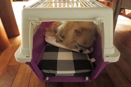 2016(H28)-12-10 第23回里親会・白金台 (1)