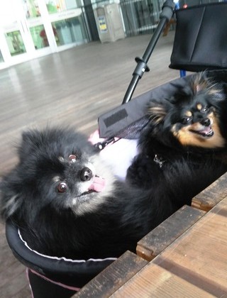 2018(H30)-5-30 ȥ饤8 02