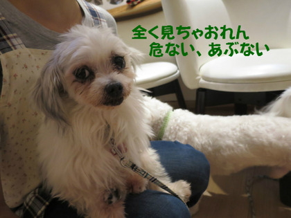 BlogPaint