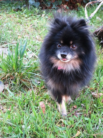 2018(H30)-3-12 春が来てるね! (22)