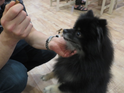 2018(H30)-5-2 åפ礤(L Pin,z) (4)