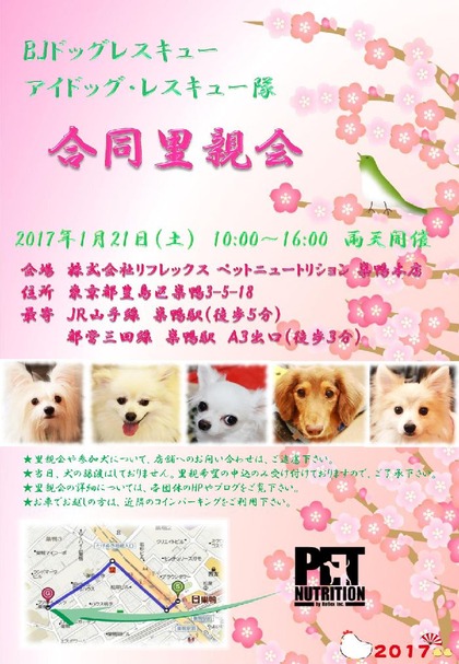 里親会チラシ0121