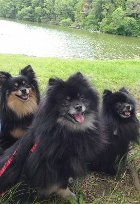 2018(H30)-6-1 ȥ饤10 01