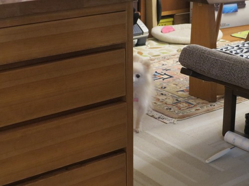 2020(R2)-4-2 ³�Ԥ�����ʤ����� (6)