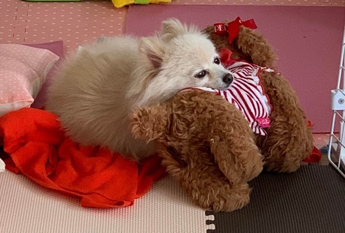 2020(R2)-5-20 �ȥ饤����13���� (1)