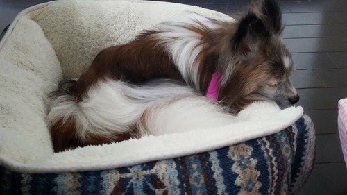 2019-9-23 トライアル中 (2)