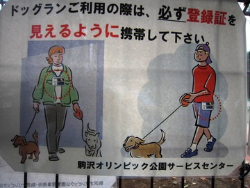 駒沢ドッグラン