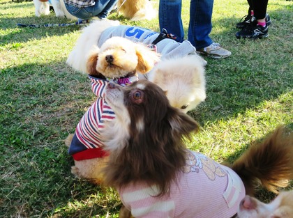 2015(H27)-10-25 第2回卒オフ (227)