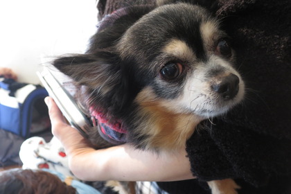 2016(H28)-12-10 第23回里親会・白金台 (25)