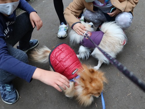 2020(R3)-3-9 すずめのお宿へ (25)