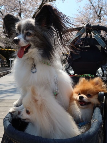 2021(R3)-3-27 3ǯΩκ (8)