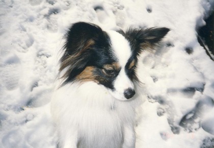 1998-1-8 初雪 (1才2カ月)01