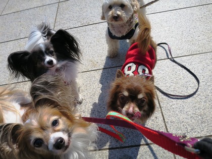 2015-2-11 ����ǰ���ν��ޤ��� (18)