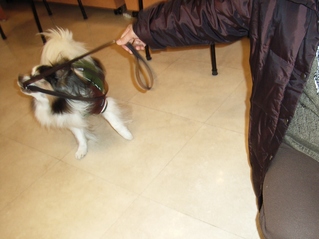 引っ張りっこ 03