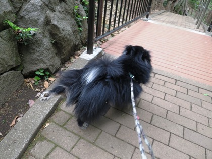 2018(H30)-4-7 ī����Ȥ��θ�Υޥå��� (4)