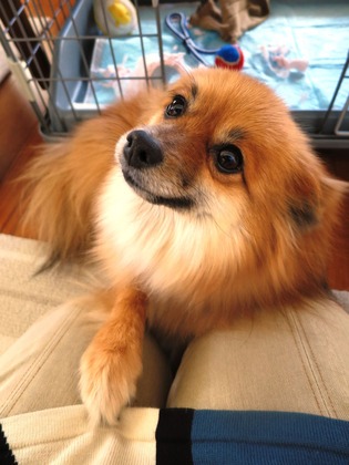 2019(H31)-2-1 いたずらしちゃったけど (6)