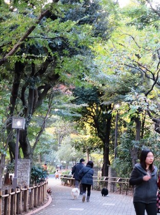 2014(H26)-11-23 ロビン18歳誕生会 (2)