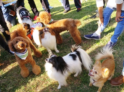 2015(H27)-10-25 第2回卒オフ (190)