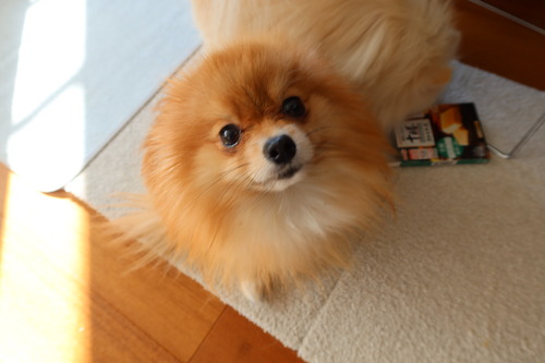 2021(R3)-1-29 �Ρ������ (1)