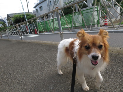 2018(H30)-7-18 İ˥å (3)