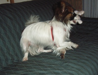 ハイテンション 6