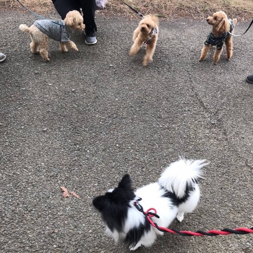 2021-3-22 トライアル3日目