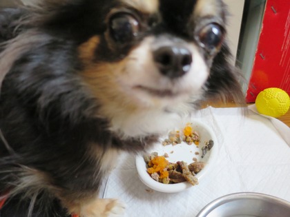 2018(H30)-2-24 退院翌日 (6)