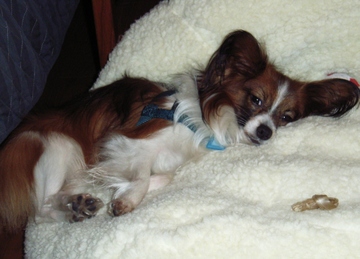 あ〜 くたびれた