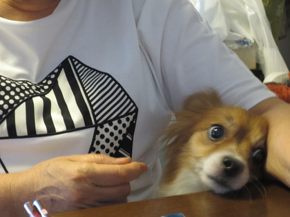 2018(H30)-7-18 İ˥å (15)