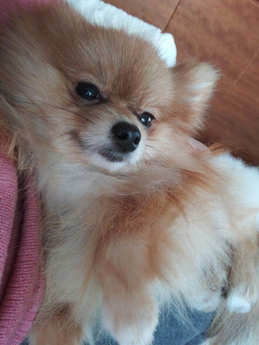 2020(R2)-12-19 äȤ (3)