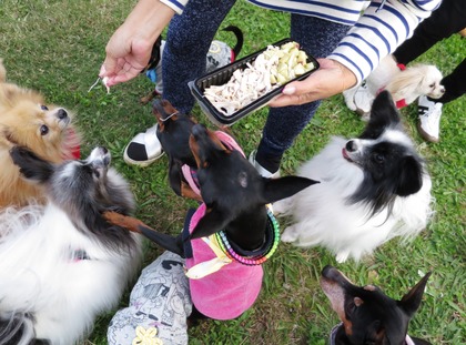 2017-11-3 卒オフ会 (46)