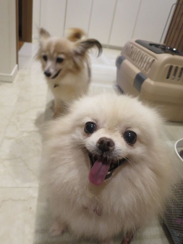 2020(R2)-9-12 ¤ª»¶Êâ½àÈ÷ (6)