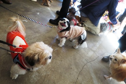 2016(H28)-12-10 第23回里親会・白金台 (11)