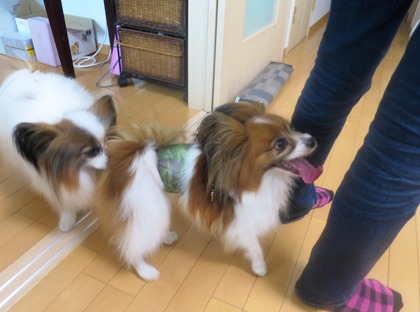 2014(H26)-6-28 �������˥��������� (7)