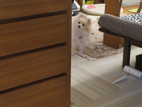 2020(R2)-4-2 ³�Ԥ�����ʤ����� (8)