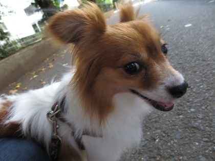 2018(H30)-7-18 İ˥å (10)