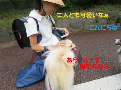 BlogPaint