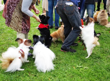 2017-11-3 卒オフ会 (62)