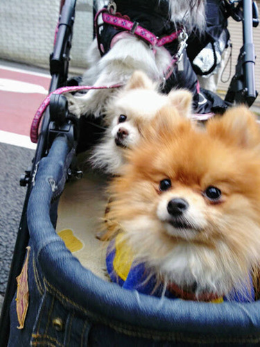 2020(R2)-12-24 ������ϥ����Ȥ� (3)