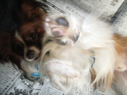 見つめちゃいや