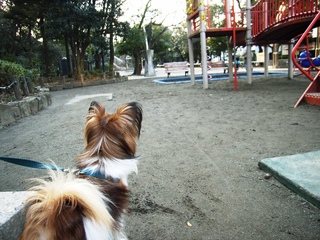 探しているの 4