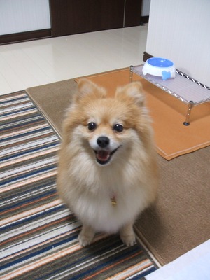 トライアル7日目